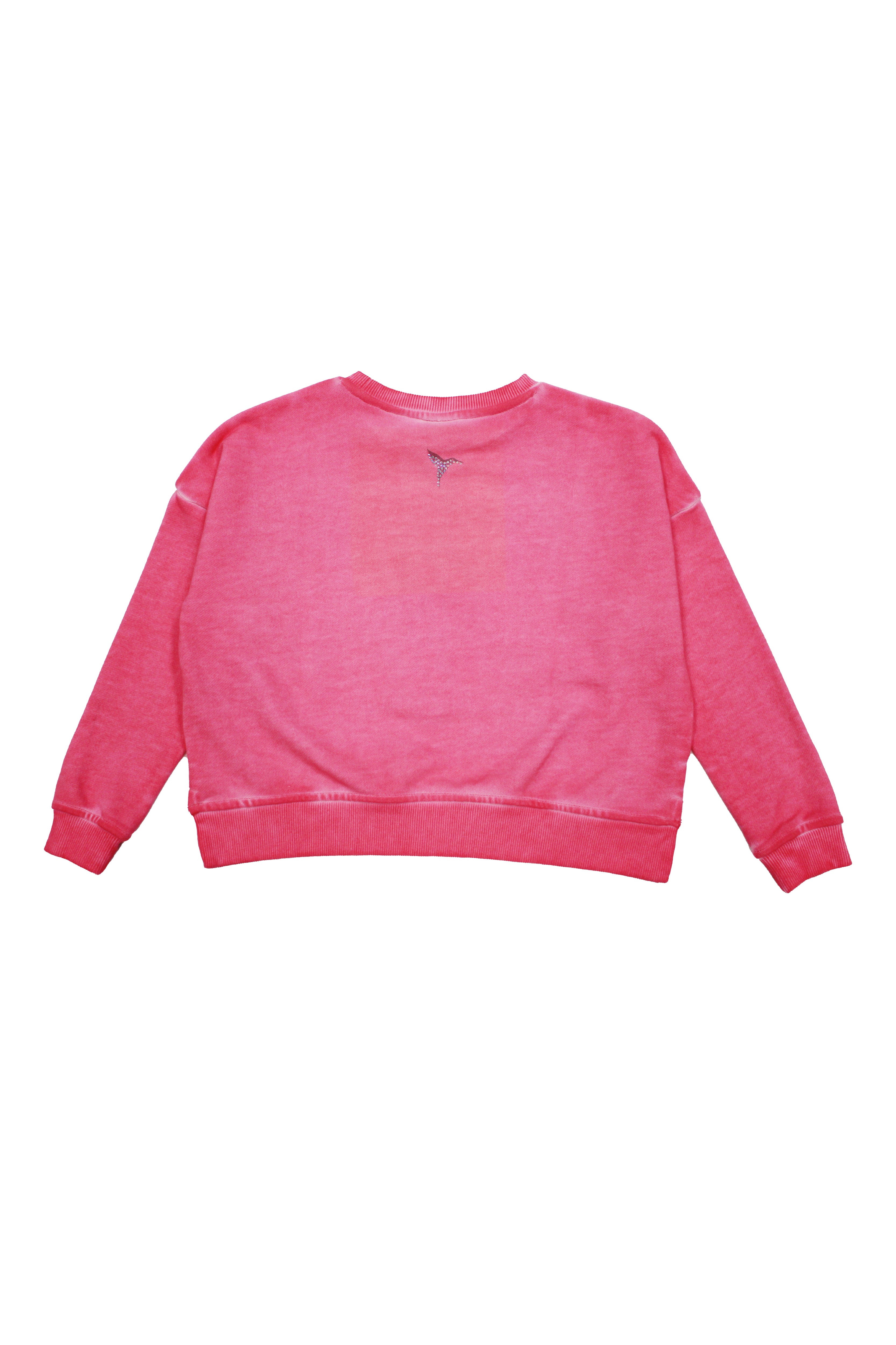 Cropped sweatshirt with round neck and long sleeves washed with oil dirty wash effect. Print detail with contrasting rhinestones combined on front and back. Side slits. Ribbed finishes.