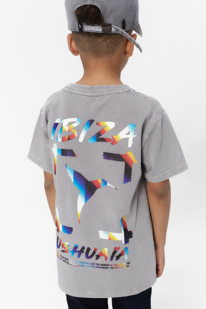 Round neck t-shirt with short sleeves washed with a fade out effect. Contrast combined print detail on the front and back.COMPOSITION:94% Cotton 6% Elastane