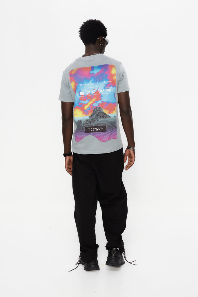 Regular fit t-shirt with round neck and washed short sleeves with fade out effect. Contrast combined print detail on front and back.