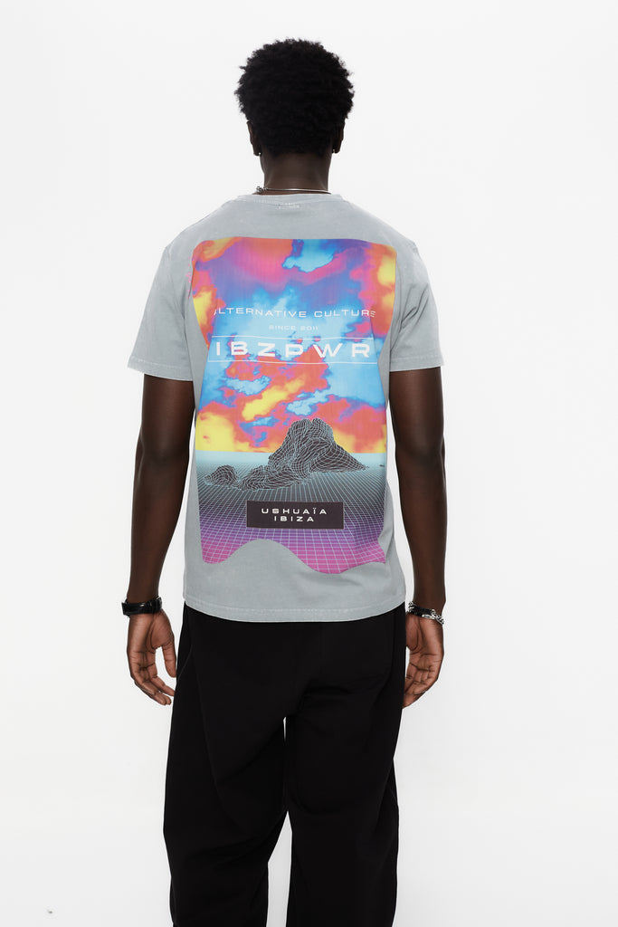 Regular fit t-shirt with round neck and washed short sleeves with fade out effect. Contrast combined print detail on front and back.